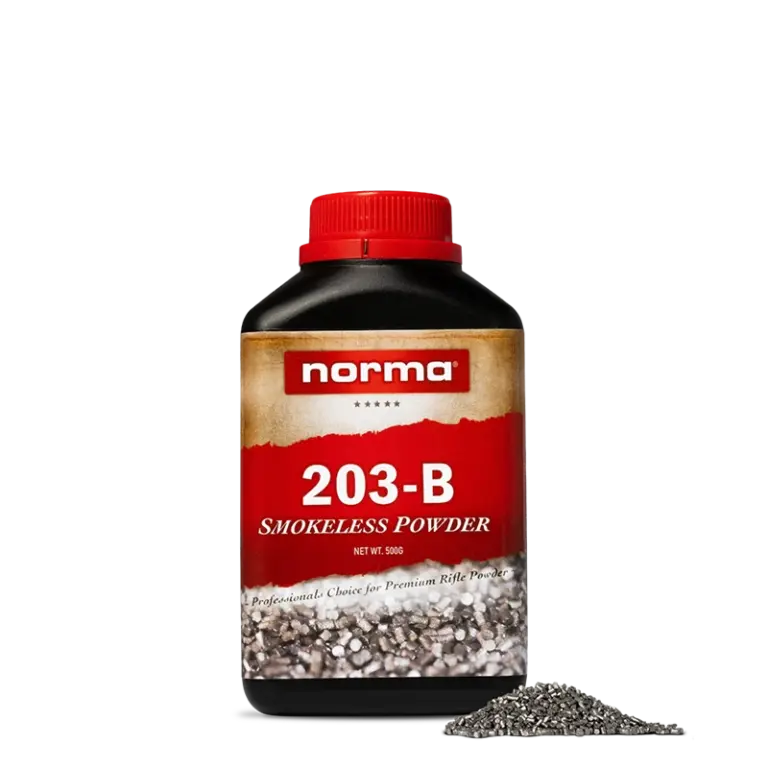 Norma 203-B